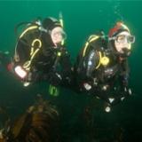 Dry suit divers underwater in Ireland