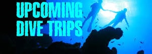 upcoming-trips