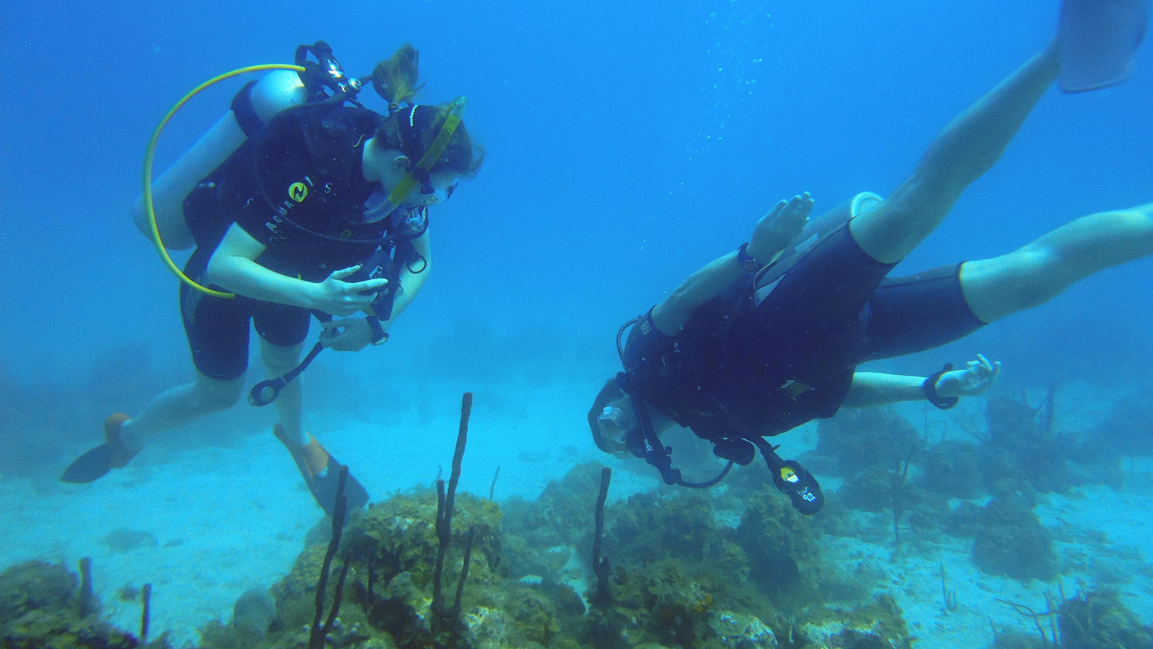 Scuba diver exploring coral reef underwater